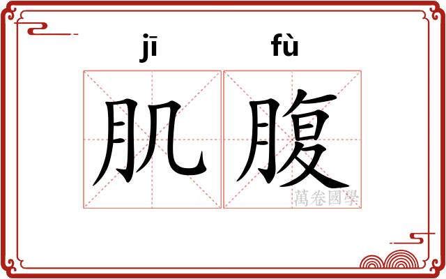 肌腹