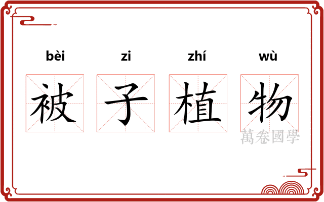 被子植物