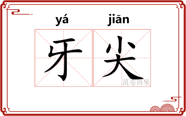 牙尖