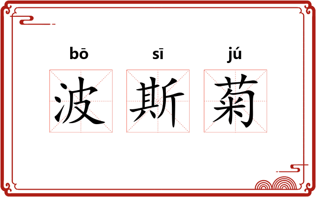波斯菊