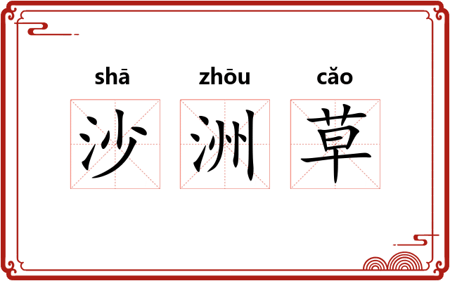 沙洲草