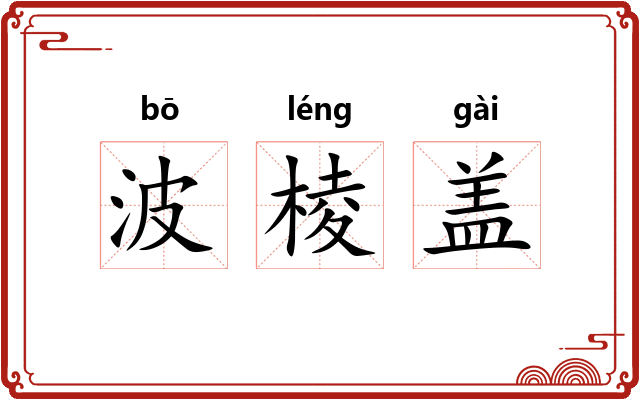 波棱盖