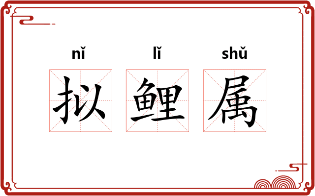拟鲤属