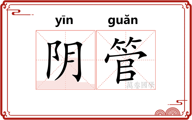 阴管