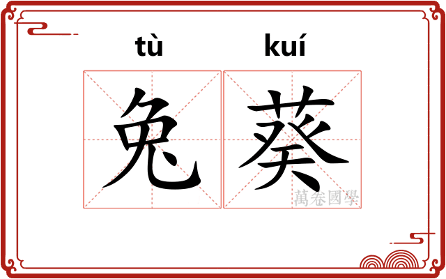 兔葵 兔葵