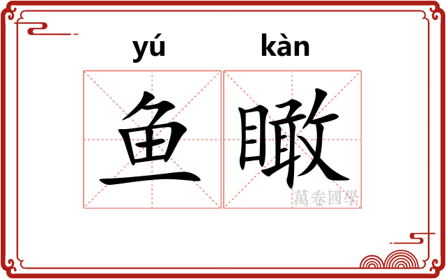 鱼瞰