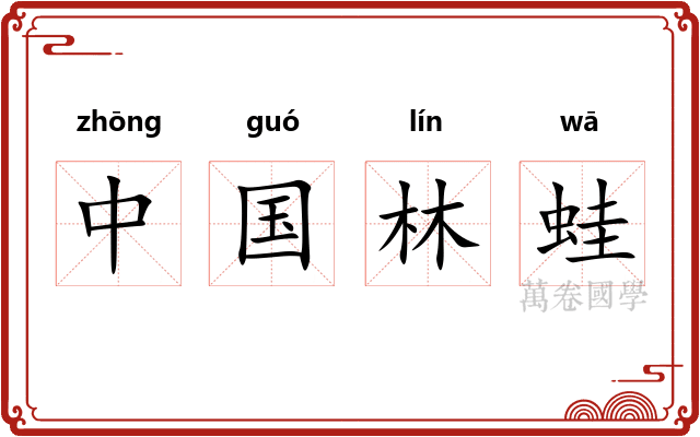 中国林蛙