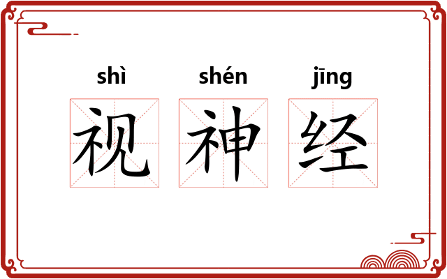 视神经