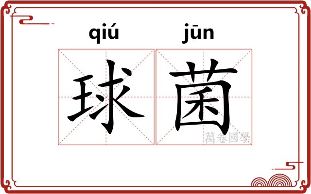 球菌