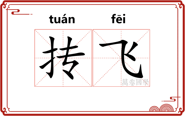 抟飞