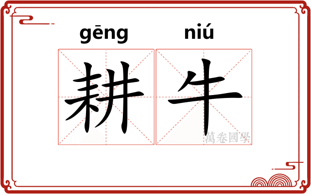耕牛