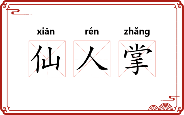 仙人掌