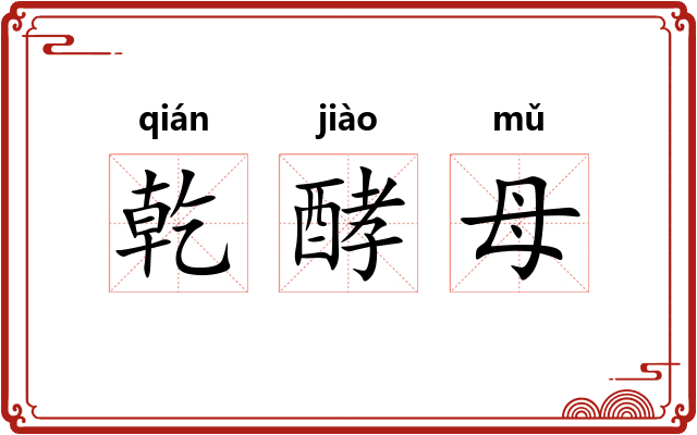 乾酵母