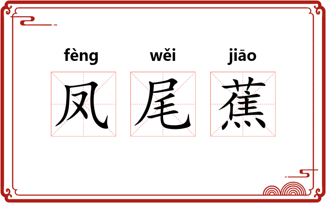 凤尾蕉 凤尾蕉