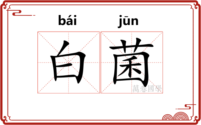 白菌