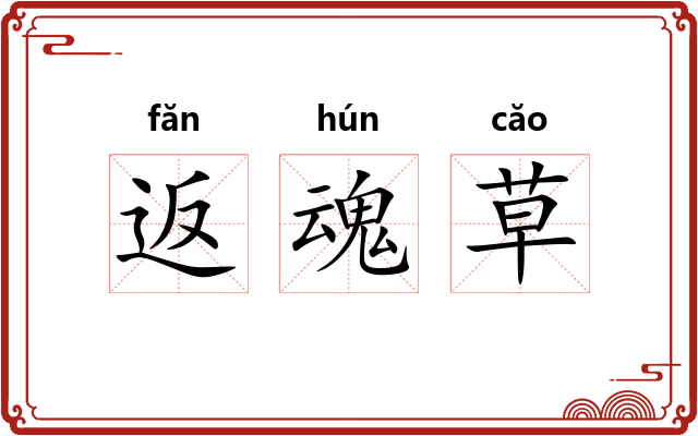 返魂草