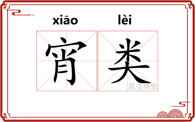 宵类