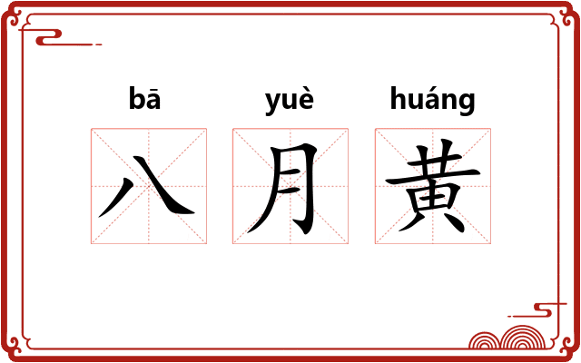 八月黄 八月黄