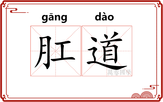 肛道 肛道