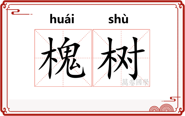 槐树