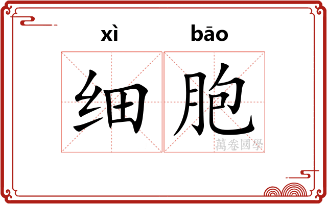 细胞