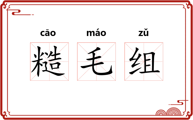 糙毛组 糙毛组