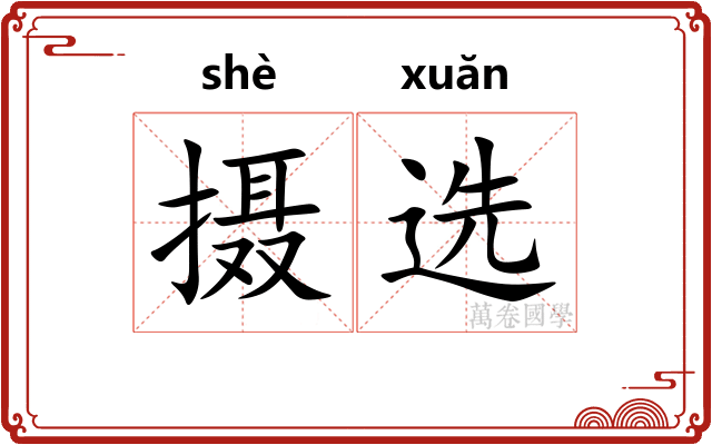 摄选