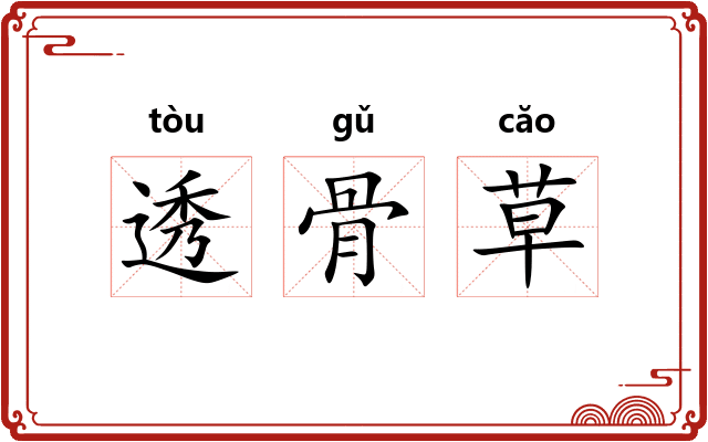 透骨草