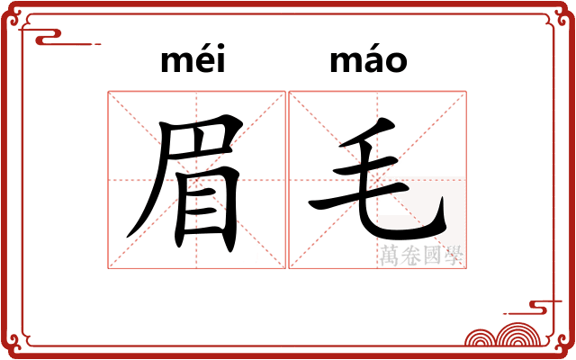 眉毛