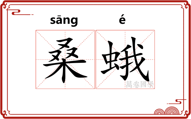 桑蛾
