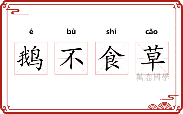 鹅不食草