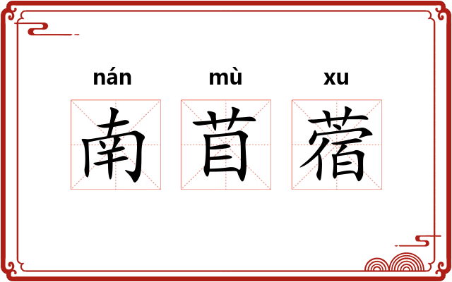 南苜蓿
