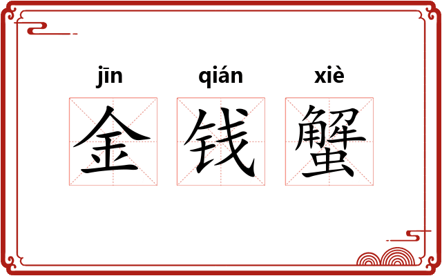 金钱蟹 金钱蟹