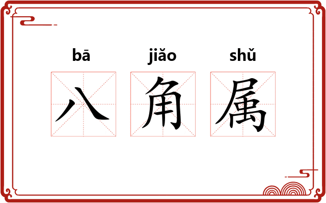 八角属 八角属