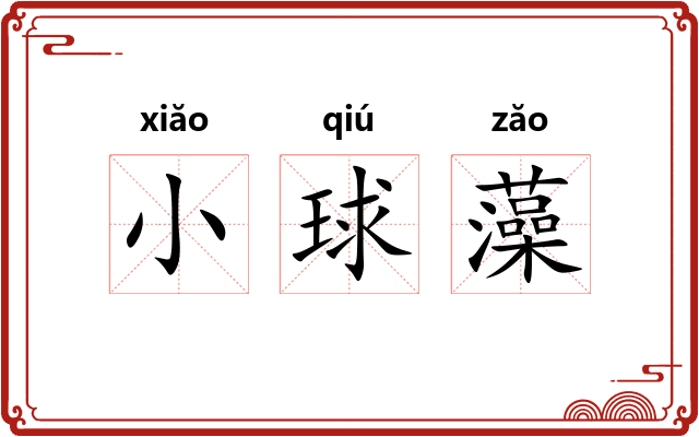 小球藻 小球藻