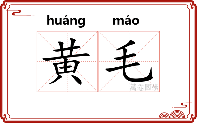 黄毛