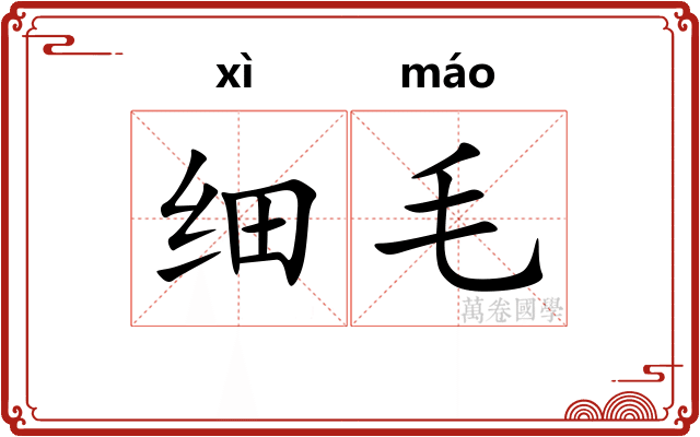 细毛 细毛
