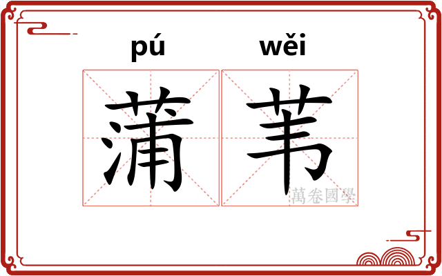蒲苇