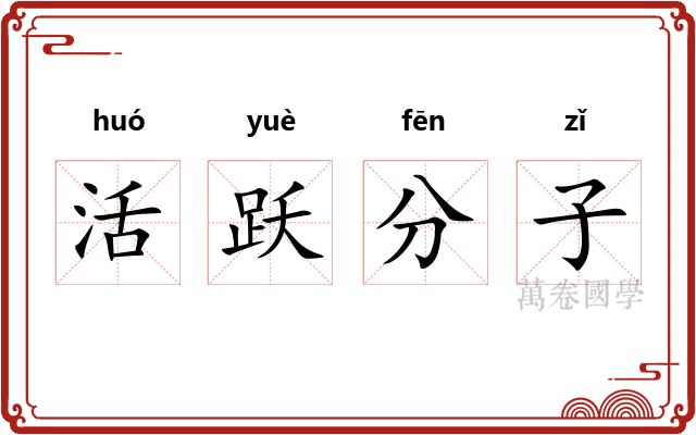 活跃分子 活跃分子
