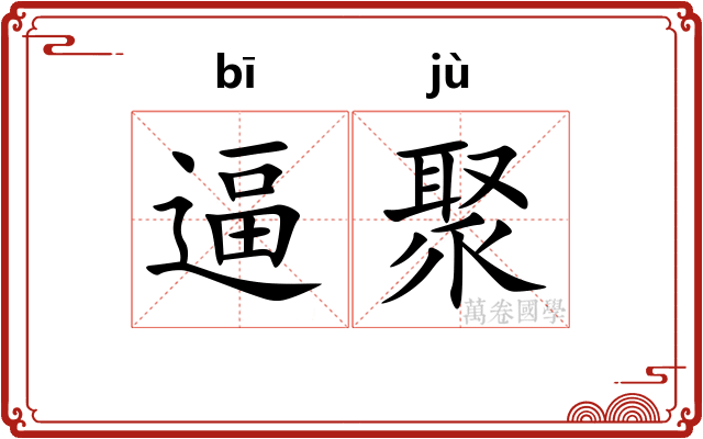 逼聚