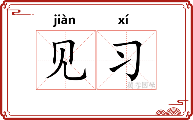 见习