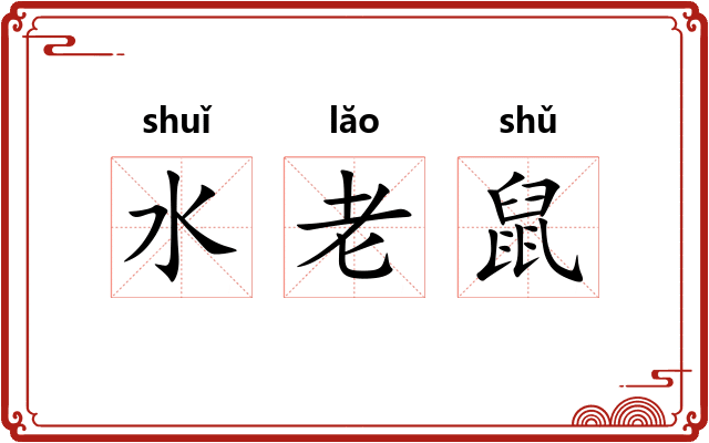 水老鼠 水老鼠