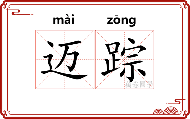 迈踪
