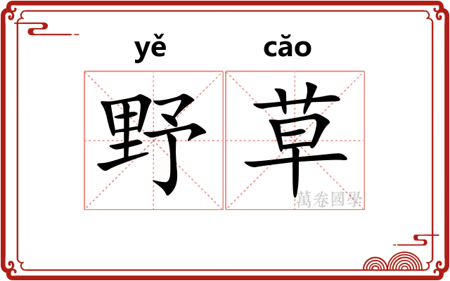 野草 野草