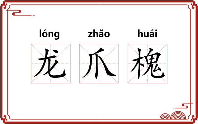 龙爪槐