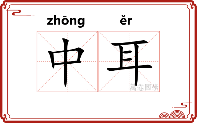 中耳 中耳