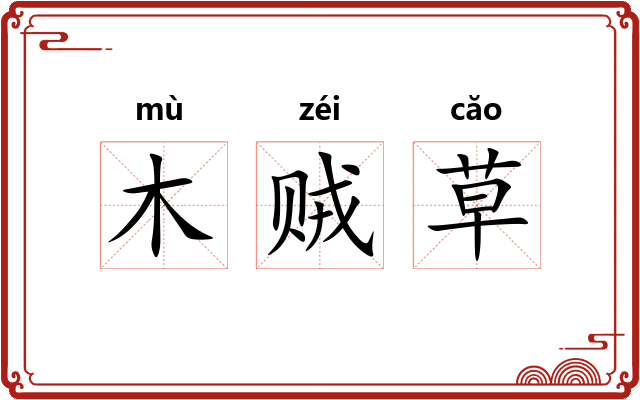 木贼草