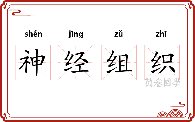 神经组织 神经组织