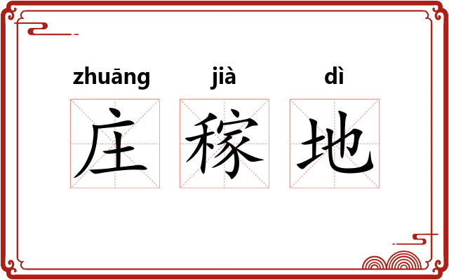 庄稼地