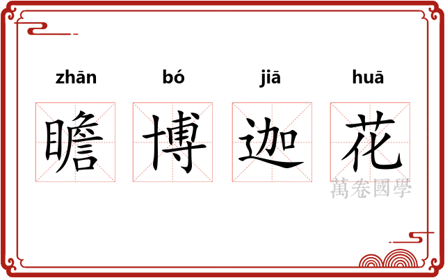 瞻博迦花